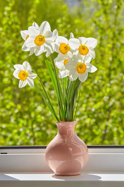 Flores, narcisos en la ventana, verduras — Foto de Stock