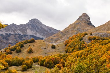 Sonbahar Karadağ dağlarında