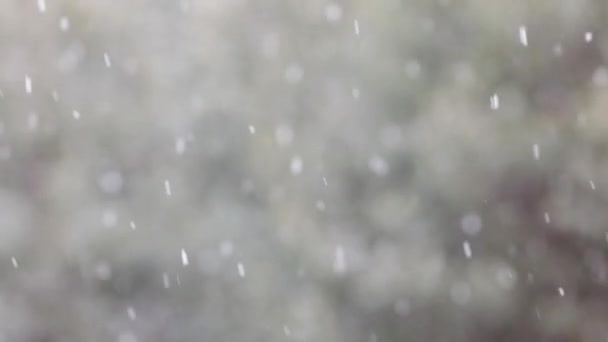 Fotografi Selang Waktu Dari Salju Yang Berjatuhan Dengan Latar Belakang — Stok Video
