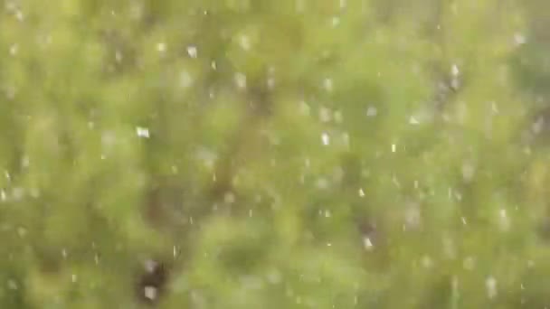 Grumos Nieve Movimiento Suave Con Hermoso Bokeh — Vídeo de stock