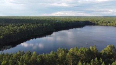 Derin bir köknar ormanındaki gölün üst manzarası. Bir kuadkopterden alındı.