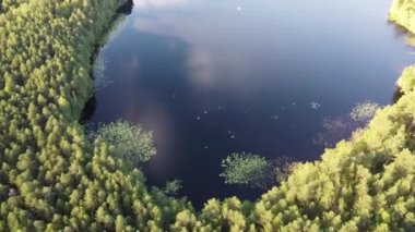 Derin bir köknar ormanındaki gölün üst manzarası. Bir kuadkopterden alındı.