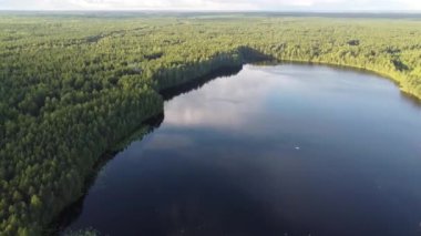 Derin bir köknar ormanındaki gölün üst manzarası. Bir kuadkopterden alındı.