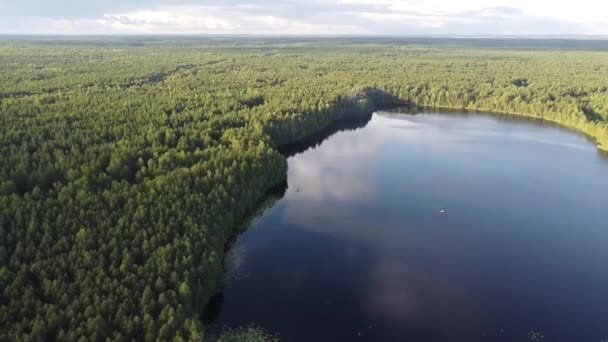 Vista Superior Del Lago Bosque Abeto Profundo Tomado Quadcopter — Vídeos de Stock