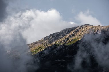 Kafkasya dağlarının çiçek açan dağlarının güzel yaz manzarası