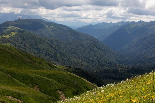 高加索山区盛开的高山草甸美丽的夏季景色 — 图库照片
