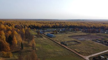 Sonbahar ormanının parlak sarı renkleri yüksekten görünüyor