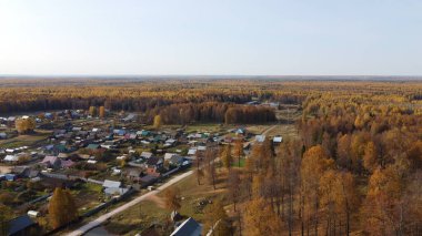 Sonbahar ormanının parlak sarı renkleri yüksekten görünüyor