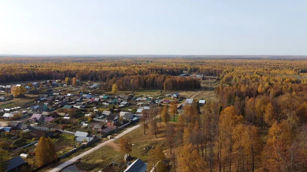 Sonbahar ormanının parlak sarı renkleri yüksekten görünüyor