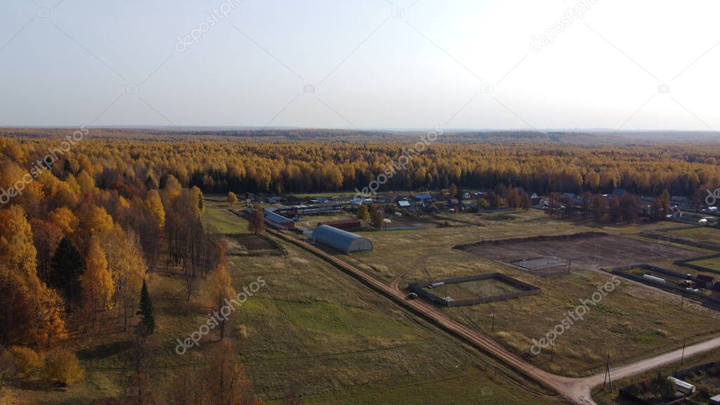 View of the autumn forest in bright yellow colors from a height