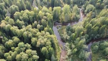 Orman nehri ormanın vahşi doğasında kıvrılır. Bankalar ağaçlarla kaplı. Nehir dik döngüler halinde kıvrılır. Yukarıdan bak. Hava fotoğrafçılığı