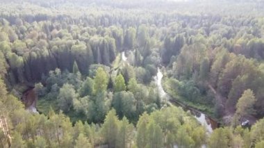 Orman nehri ormanın vahşi doğasında kıvrılır. Bankalar ağaçlarla kaplı. Nehir dik döngüler halinde kıvrılır. Yukarıdan bak. Hava fotoğrafçılığı