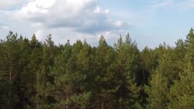 Orman nehri ormanın vahşi doğasında kıvrılır. Bankalar ağaçlarla kaplı. Nehir dik döngüler halinde kıvrılır. Yukarıdan bak. Hava fotoğrafçılığı