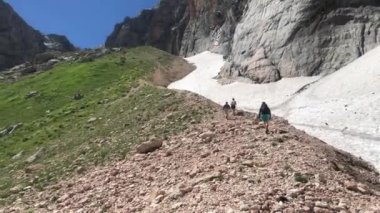 Bir grup turist dağlara seyahat eder. İnsanlar tepeye tırmanır.