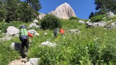 Sırt çantalı bir adam dağ yolunda yürüyor. Yazın dağlarda tatiller