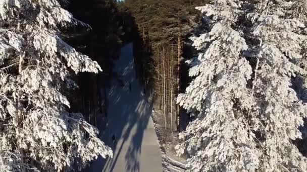 Luftaufnahmen. Die Skifahrer laufen auf der Biathlonstrecke durch einen verschneiten Wald. Blick von oben