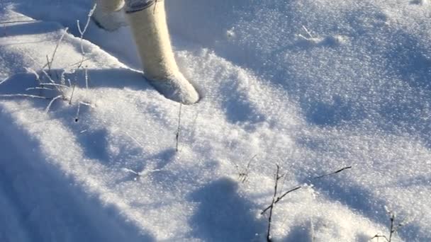 Neve Voa Baixo Das Botas Movimento Lento Neve Cintilante — Vídeo de Stock