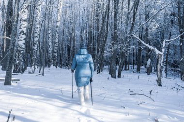 Kış ormanlarında yürüyen yaşlı kadın İskandinav bastonları kullanıyor. Aktif yaşam tarzı, macera konsepti. Kışın Kuzey yürüyüşü