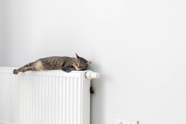 Kedi gri bir duvarın arka planında ısıtma radyatörünün üzerinde yatıyor. Kedi aküde ısınıyor.