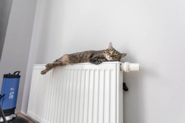 Kedi gri bir duvarın arka planında ısıtma radyatörünün üzerinde yatıyor. Kedi aküde ısınıyor.