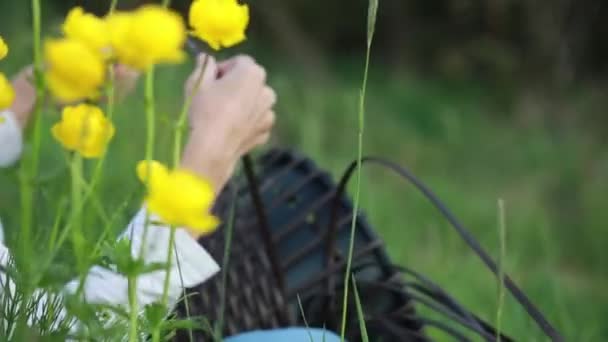 Volkskunst Handgemacht Junge Frau Flechtet Gras Sitzend Rasselkörbe Gelbe Blumen — Stockvideo