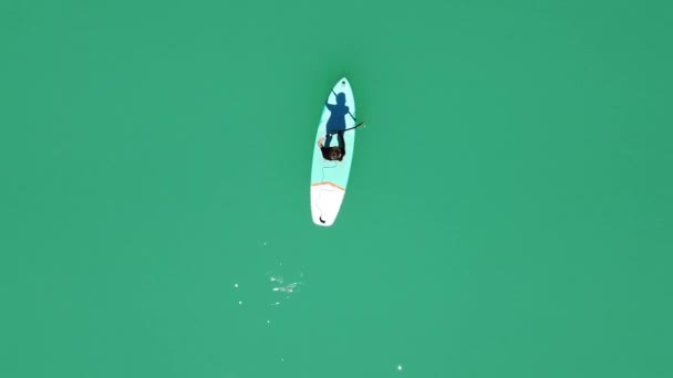 ターコイズブルーの海に浮かぶ少女のドローン映像 女性はSupボードとパドルを使用しています 空中展望 — ストック動画