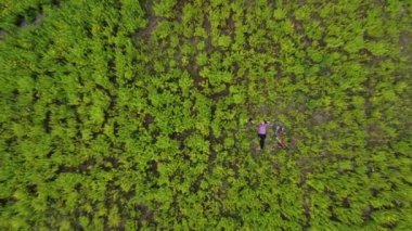 Kız çimlerin üzerinde dinleniyor. Yakınlarda bisiklet var. Kamera yukarı hareket ediyor. Hava fotoğrafçılığı, yukarıdan görünüm