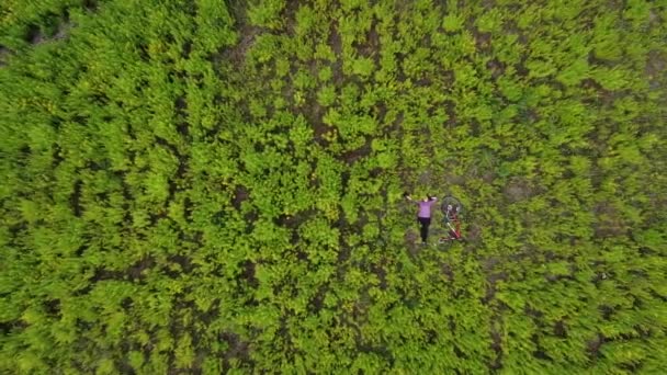 Dziewczyna Leży Trawie Pobliżu Jest Rower Kamera Się Podnosi Fotografia — Wideo stockowe