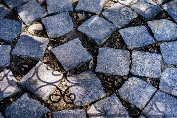 Gatan block med gräs eller mossa — Stockfoto