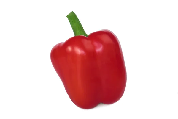 Single red bell pepper isolated on white — Stock Photo, Image