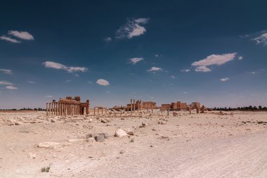 Antik şehir Palmyra, Suriye kalıntıları