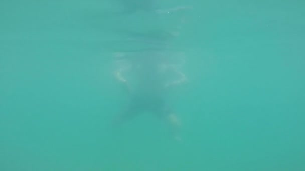 Beautiful boy swimming in the warm cyan water. — Stock Video