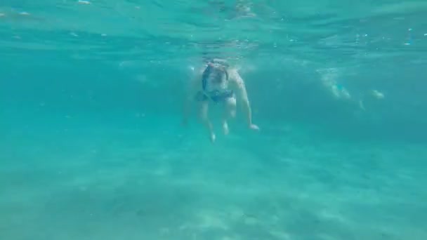 People diving under the warm cyan water. — Stock Video