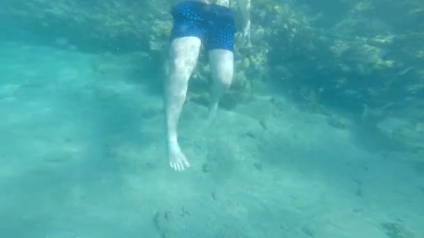 漂亮的男孩，在温暖的青色水中游泳. — 图库视频影像