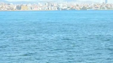 Nehrin güzel manzarası.