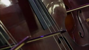 Müzisyenler aktifçe telli enstrümanlar çalıyorlar çelloların yayları tellere çizilmiş. Müzik performansının ortak doğası