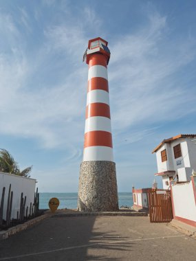 Sahildeki aşınmış kayalarda dinlenen küçük yengeçlere yakın çekim