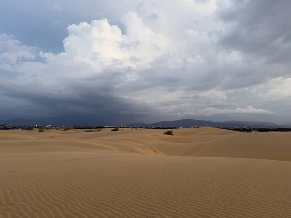 Sahildeki aşınmış kayalarda dinlenen küçük yengeçlere yakın çekim
