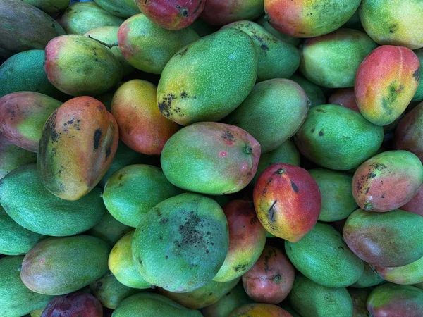 Taze, olgun ve renkli tropikal mangoların arka planı - yeşil, kırmızı ve sarı