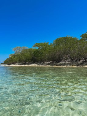  Long Island, Venezuela - Temiz Sığ Su ve Mangrove Ormanı Tropikal Sahil