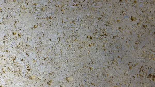 Yığılmış Clay Terracotta Çatı Döşemeleri 'nin Güneş Işığı Fişeği ile Yakın Çekimi