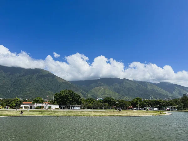 Afrika Kaz, Kaplumbağa ve Ördekler Gölgeli Park 'ta Kuru Arazide Dolaşıyor