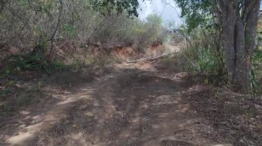 POV yaban bitki örtüsü ve kuru arazi boyunca tropikal bir bölgede dik, kırsal toprak bir yol boyunca yürüyor.