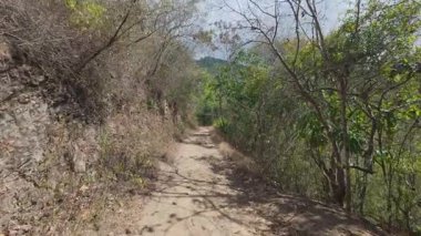 POV perspektifi, arka planda dağlar olan kuru bir tropikal ormanda toprak bir patika boyunca bir yürüyüş.