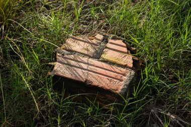 Vietnam metni olan eski bir tuğla terkedilmiş ve yeşil çimlerle kaplanmış, doğayı geri alma kavramı ve zamanın geçişi.