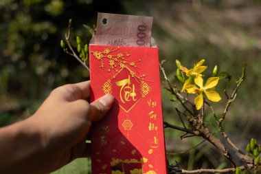 Tet 'in hediye geleneğini sembolize eden kayısı çiçeklerinin yanında bir banknot bulunan kırmızı bir para zarfını tutan bir el.