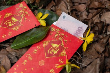 Kuru yapraklardan bir halının üzerine yerleştirilmiş Vietnamlı parasıyla kırmızı bir zarf nesiller boyunca korunmuş geleneksel adetleri hatırlatıyor.