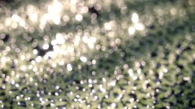 Doğal yeşil arka planda parıldayan gümüş bokeh ışıkları, sanatsal ve şenlikli videolar için büyülü ve lüks bir his veriyor.