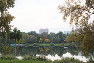 the city of the river in the park, autumn trees in the park of Kiev
