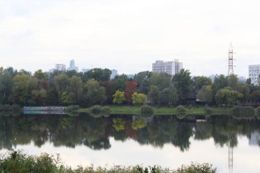 the city of the river in the park, autumn trees in the park of Kiev